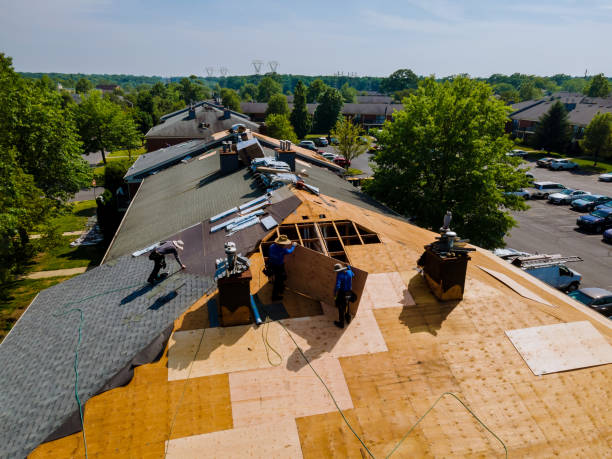 Best Flat Roof Repair Services  in Rushville, IN