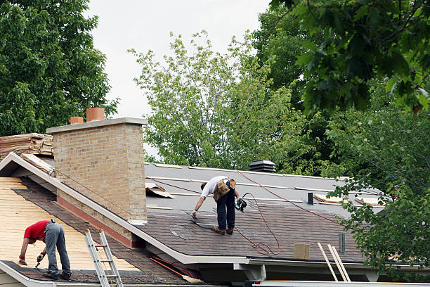 Best Local Roofing Companies  in Rushville, IN