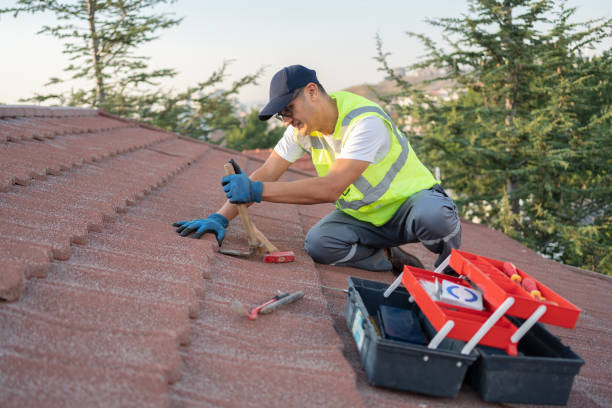 Best Roof Leak Repair  in Rushville, IN